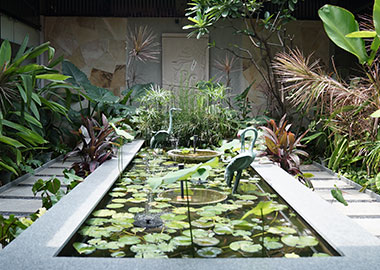gallery1-8.jpg